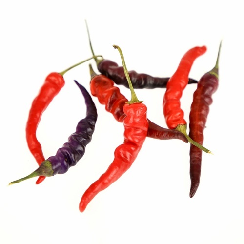 3 Biji Benih PEPPER Purple Thai