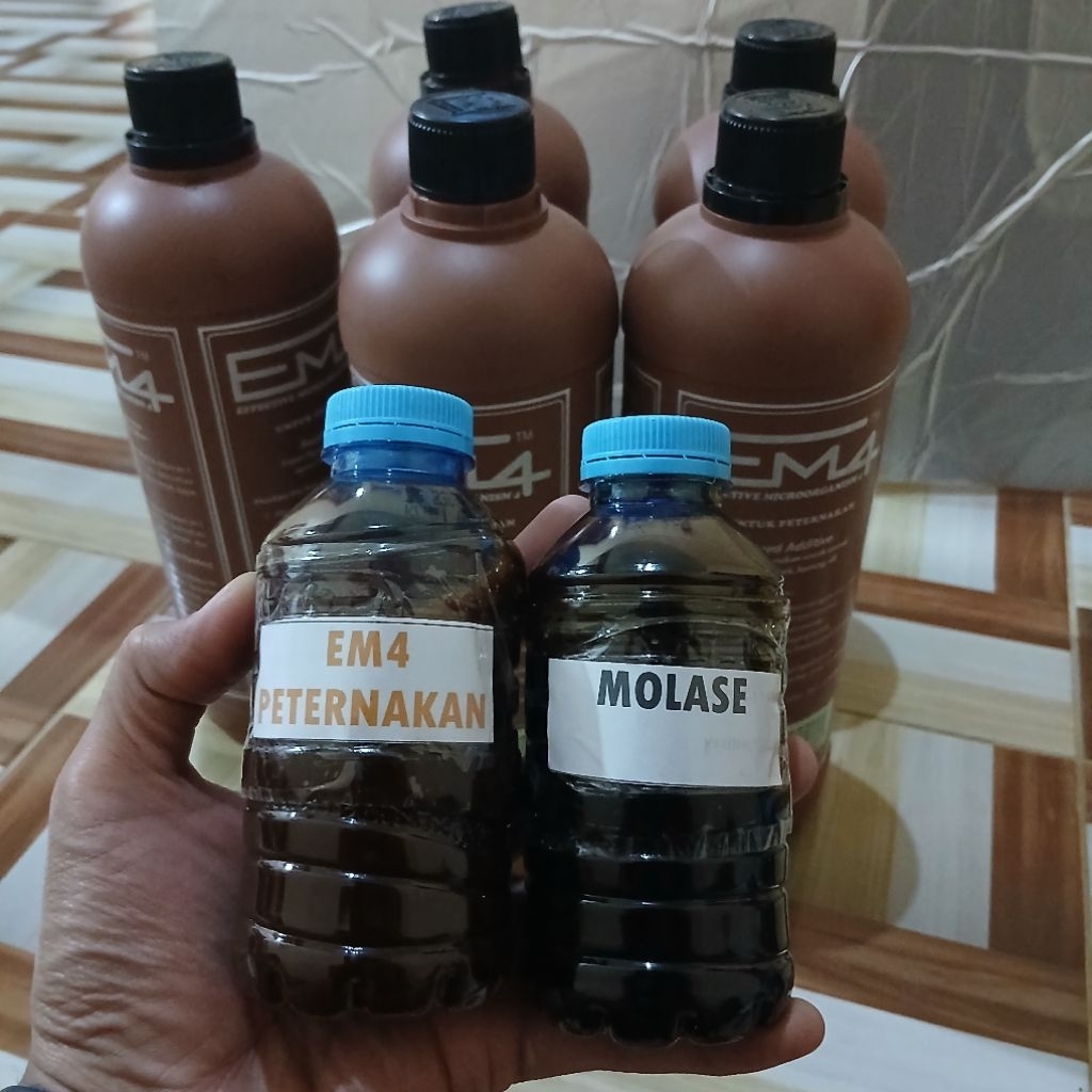 Paket EM4 Peternakan + Molase tetes tebu| Nutrisi & Probiotik Ternak Ayam