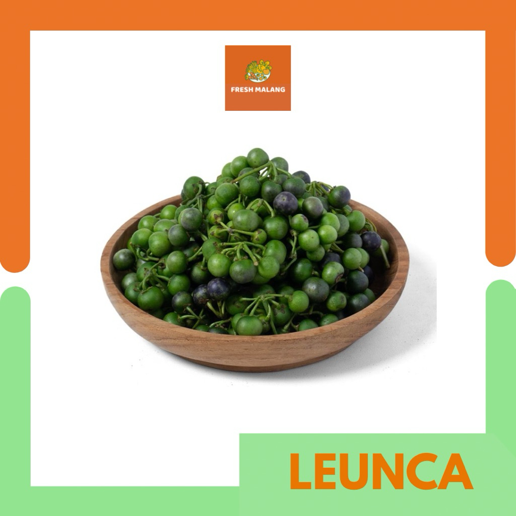 Leunca per 250gr | Fresh Malang