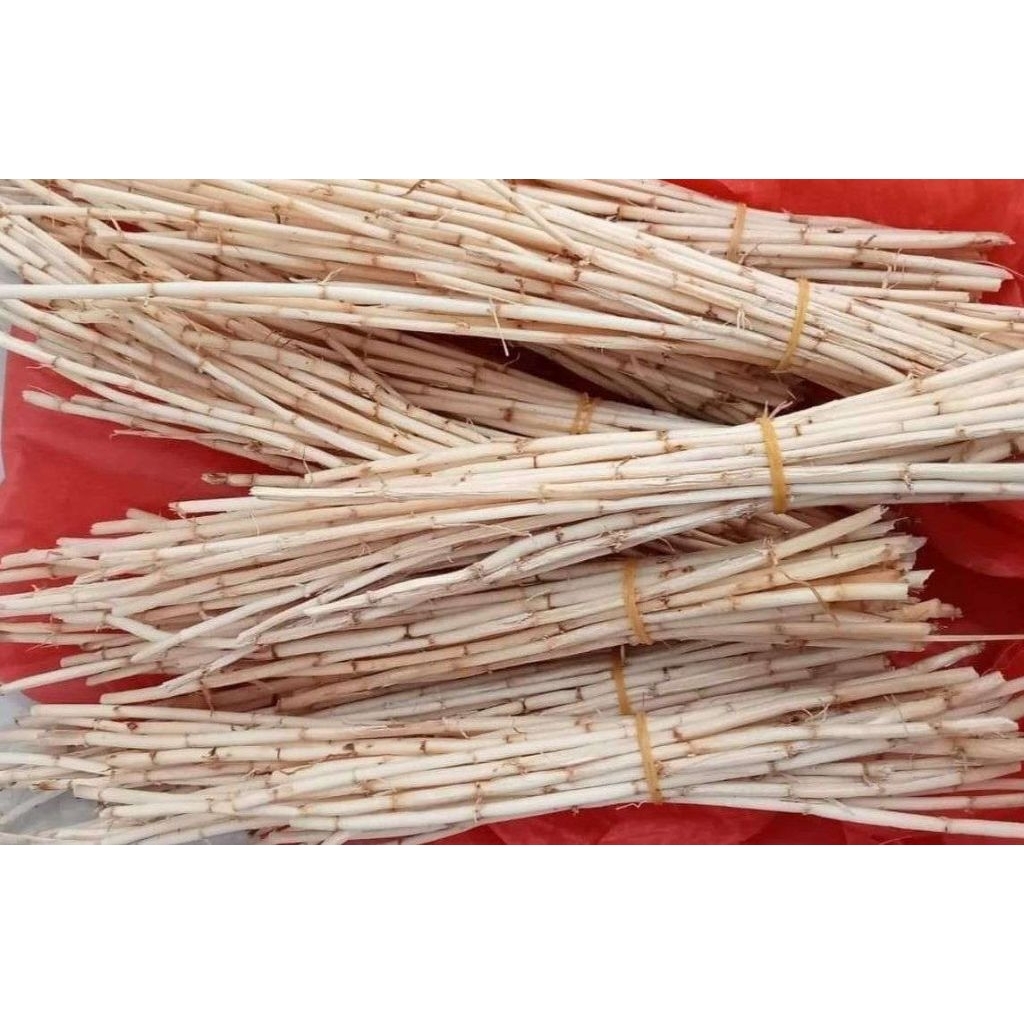 akar alang-alang segar 100gram AKAR ALANG ALANG FRESH