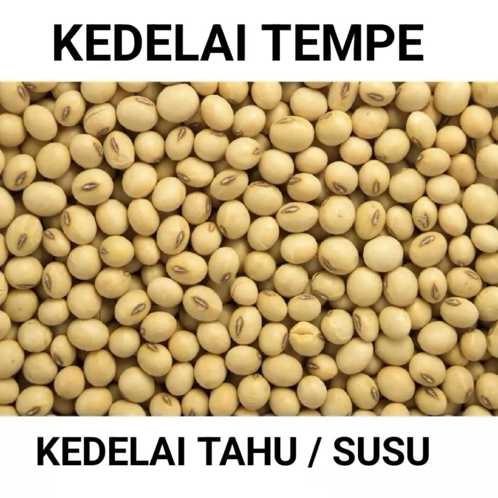 1 Kg Kedelai Lokal Super. Kedelai Tempe. Kedelai Tahu/Susu.