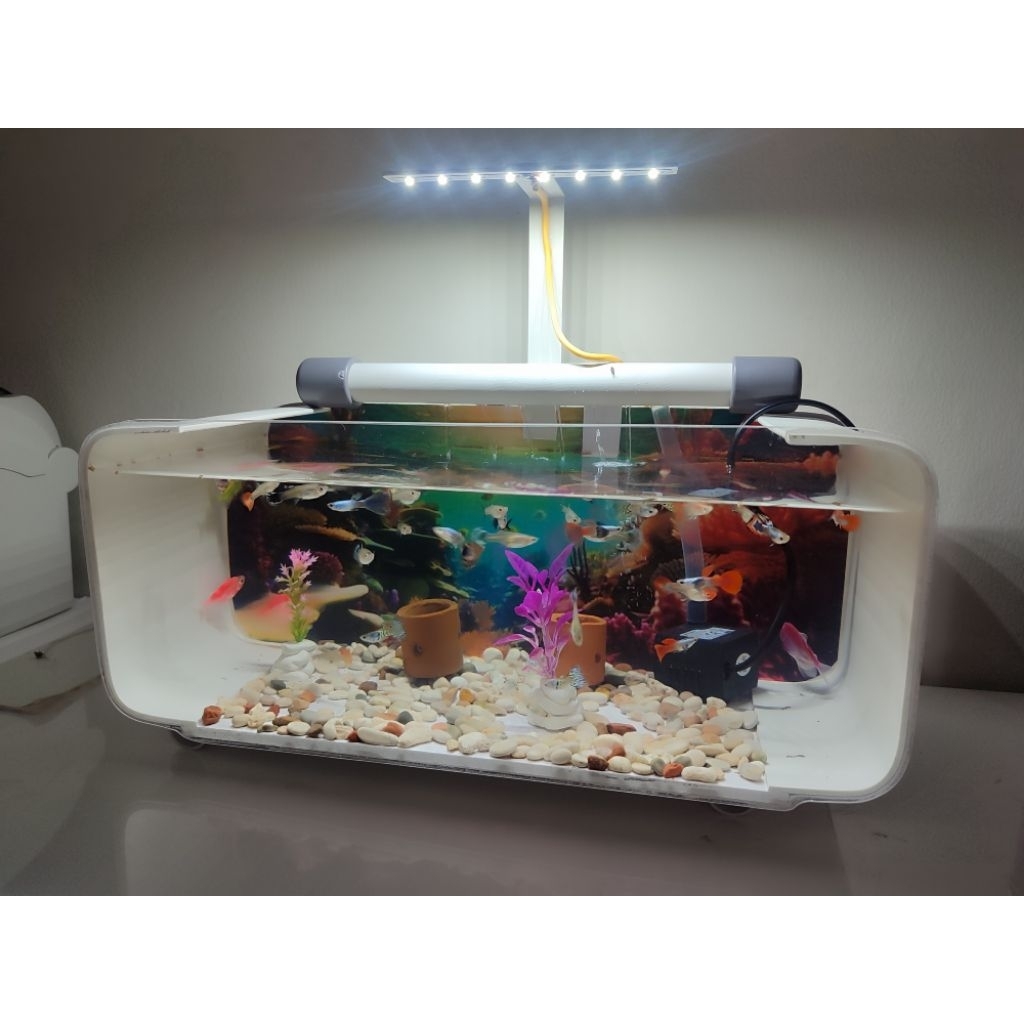 Aquarium Jumbo Full set lengkap