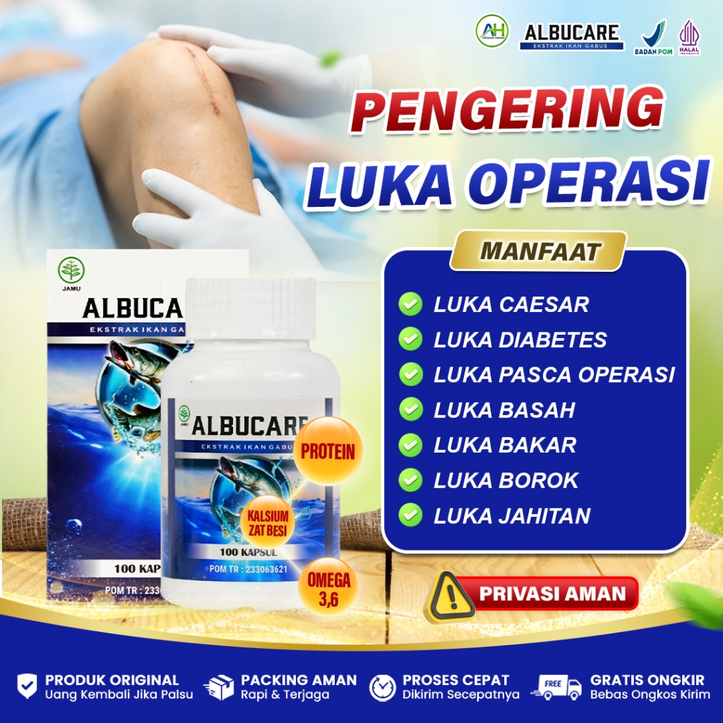 Albucare Kapsul Kutuk Ikan Gabus Obat Pengering Luka Pasca Operasi, Luka Jahitan, Luka Sayatan