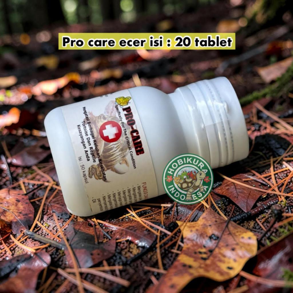PROCARE ECER ISI 20PCS / OBAT KURA-KURA/ OBAT PILEK REPTILE/ OBAT PILEK KURA KURA