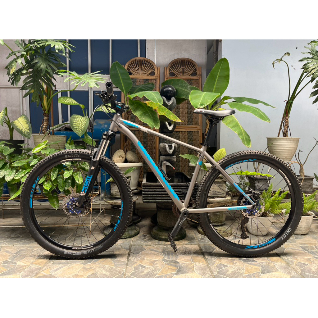 POLYGON XTRADA 5 2020