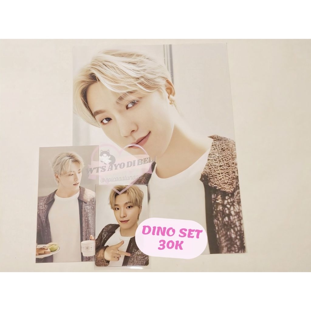 [READYSTOCK] DINO SEVENTEEN 2024 SEASONS GREETINGS SG24 WEVERSE