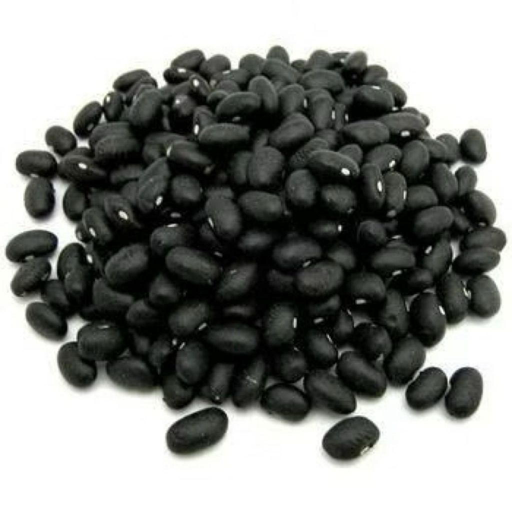 1 Kg Kedelai Hitam. Kacang Kedelai Hitam Fresh.