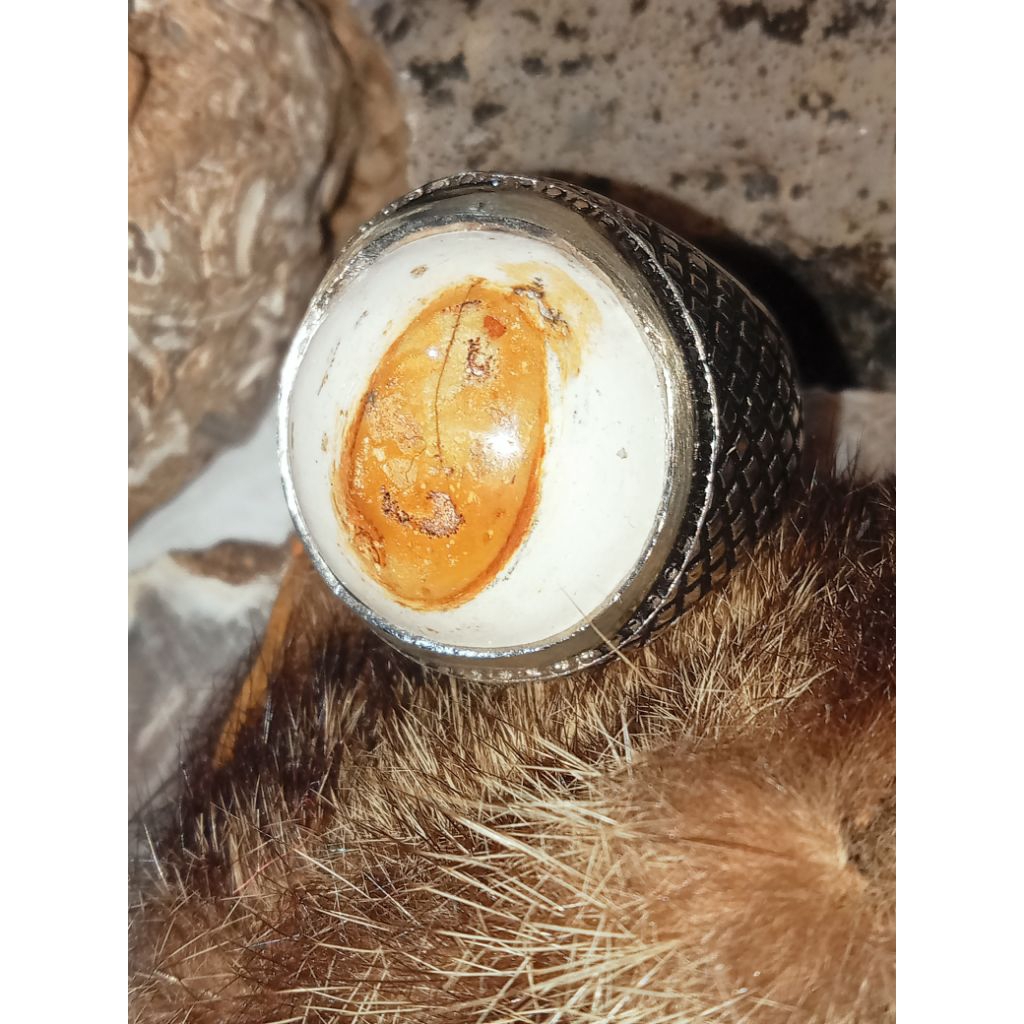 BATU FSL JANTUNG PISANG RAJA