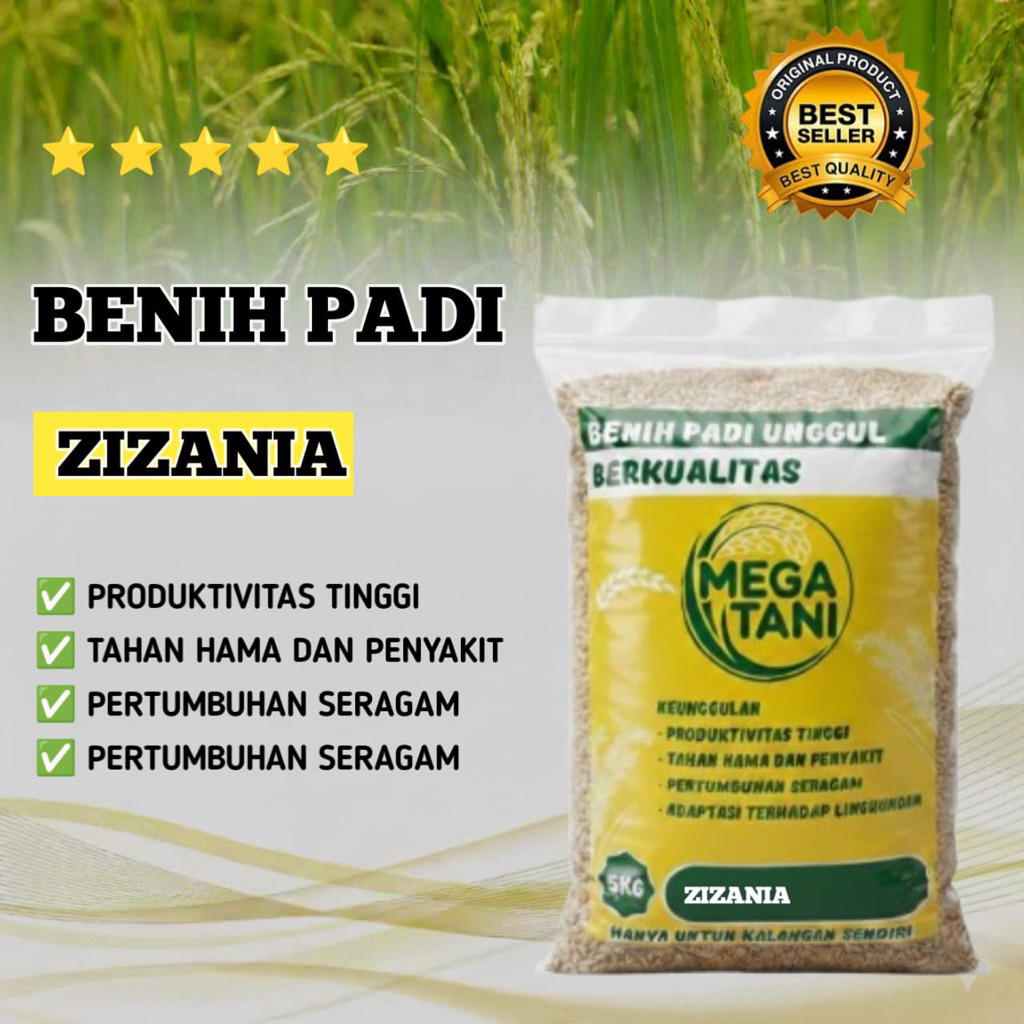 Benih Padi Zizania Kemasan 5Kg Kualitas Original