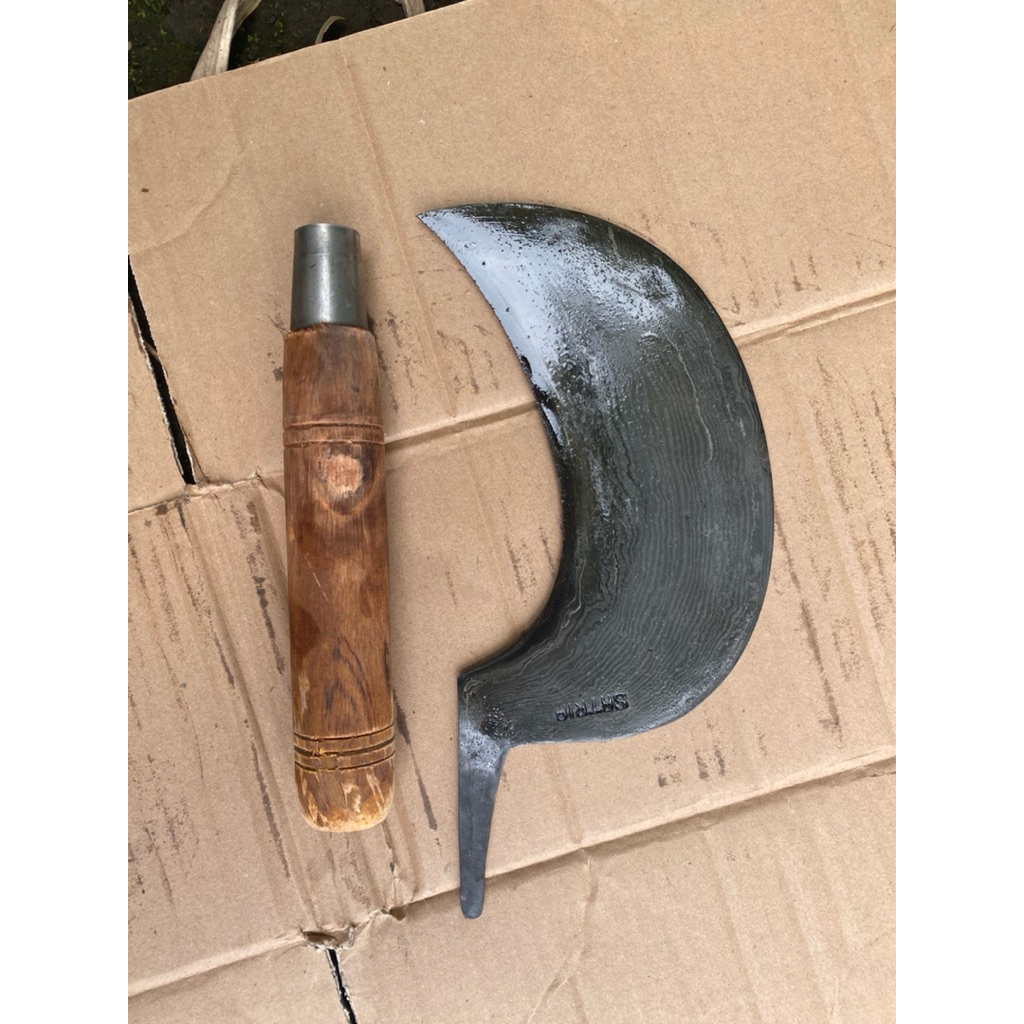 arit sadap aren damascus