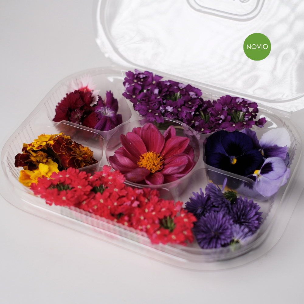 mixed edible flower fresh / edible flower