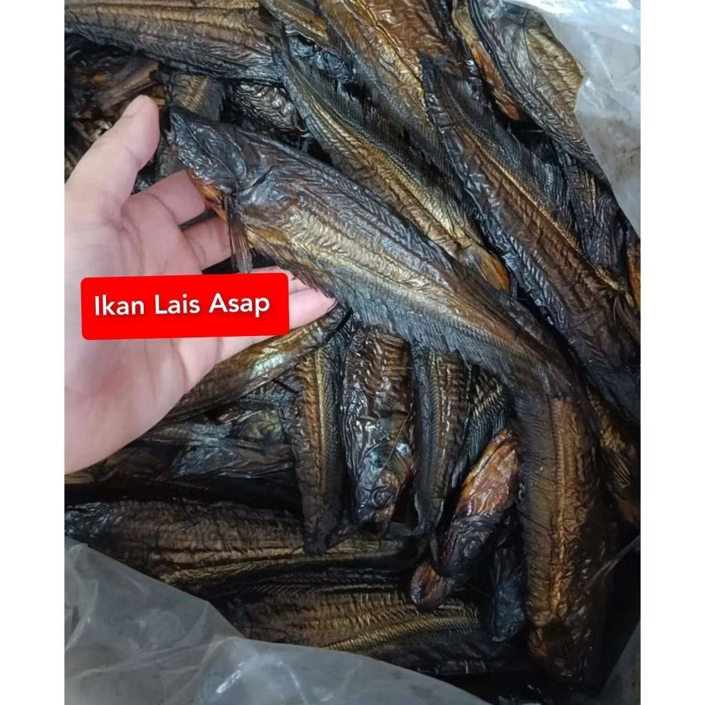 Ikan Lais Salai Khas Pontianak (±300gr)  Ikan Asap Lais Asli Kalimantan Barat / Ikan Sale / Ikan Sal