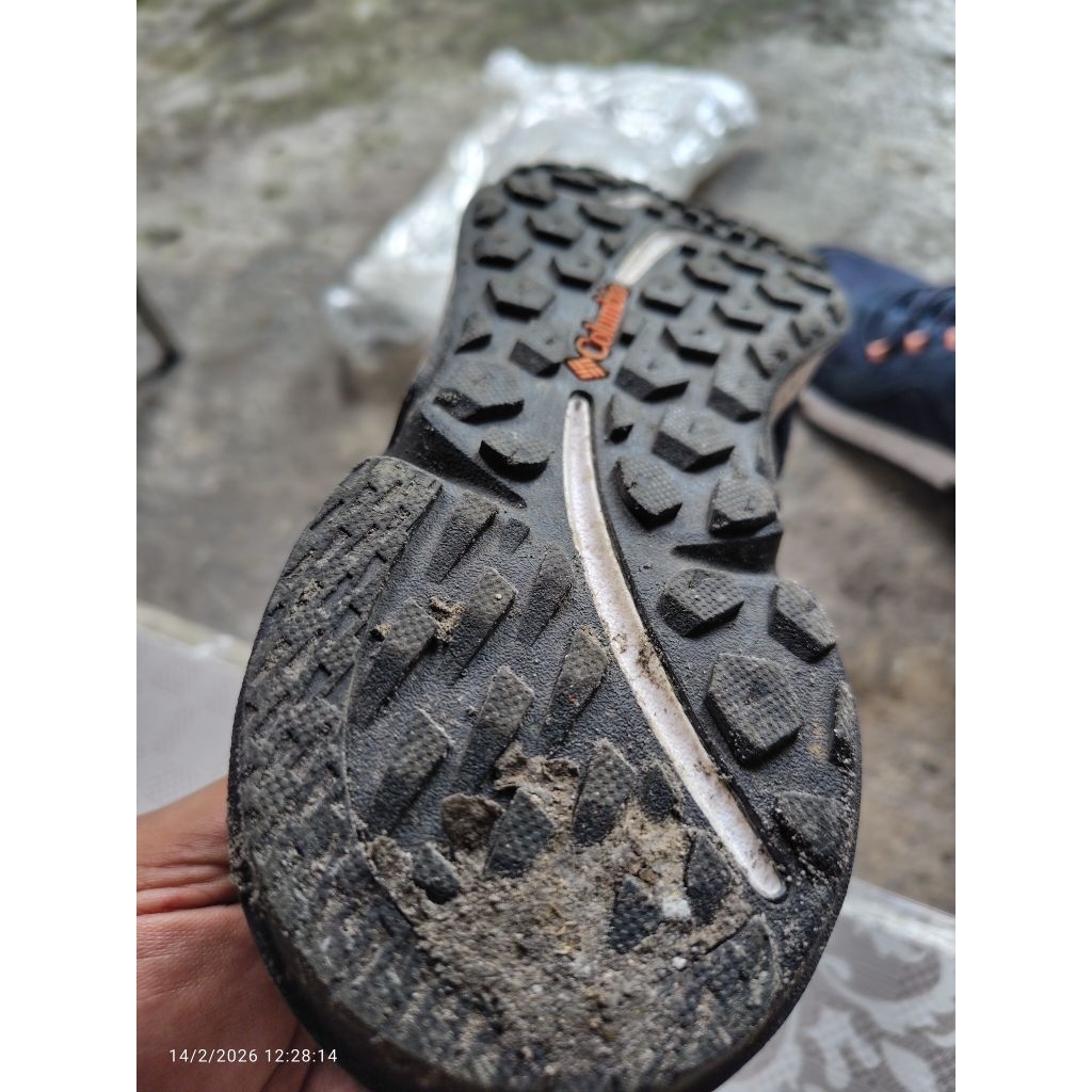 sepatu Colombia original