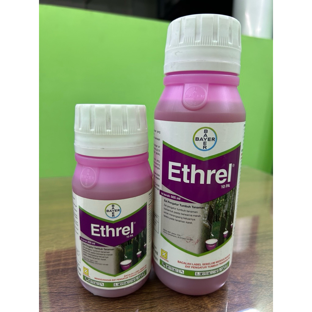 ZPT Ethrel 10 PA Perangsang Getah Karet