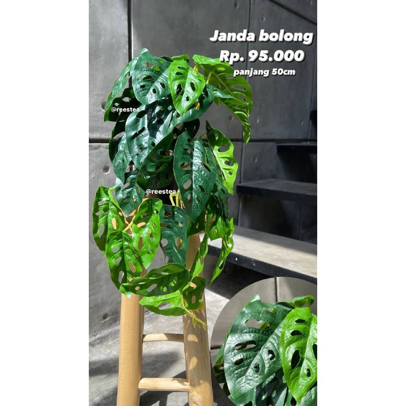 Pohon Juntai JANDA BOLONG / Pohon gantung / Tanaman tiruan hias palsu / Artificial plant