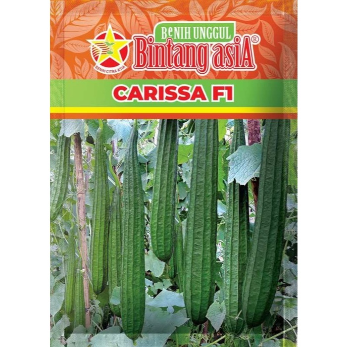 Biji 2 Benih Oyong CARISSA F1