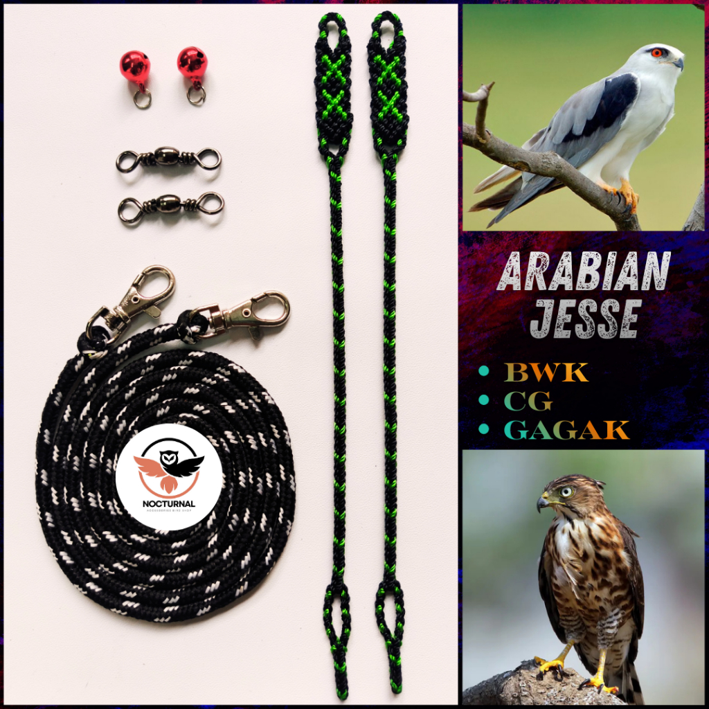 Arabian Jesse burung hantu dan elang alap alap CG BWK Gagak Javan Owlet untuk Tali angklet/anklet BO