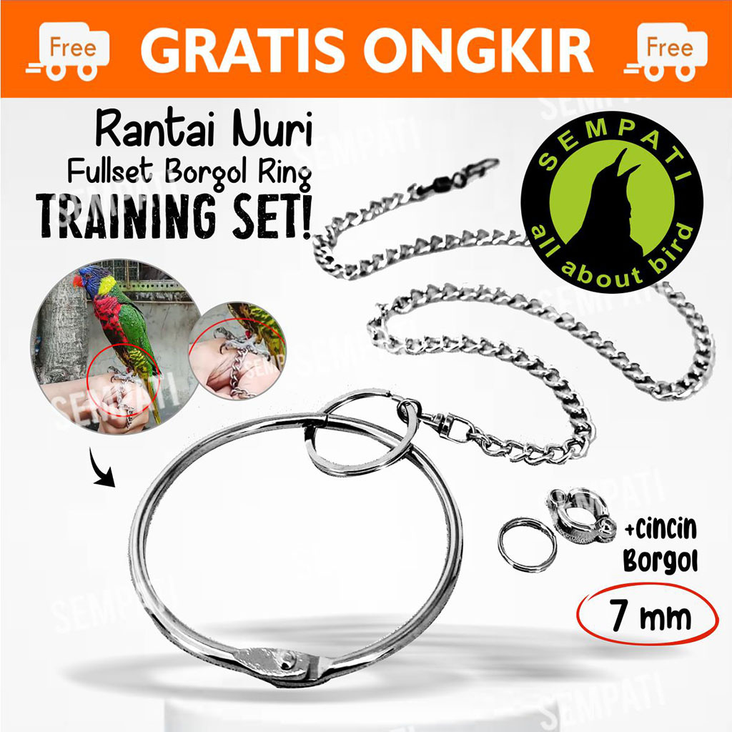 SEMPATI RANTAI KAKI BURUNG NURI PELANGI PUTER PELUNG TEKUKUR DERKUKU FULLSET GELANG RING BORGOL 7 MM