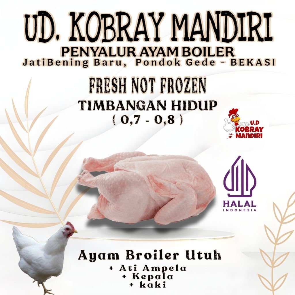 [ KIRIM INSTANT ] Ayam potong BROILER ukuran 0.7 - 0,8   potong seletah Check Out [ timbangan hidup 