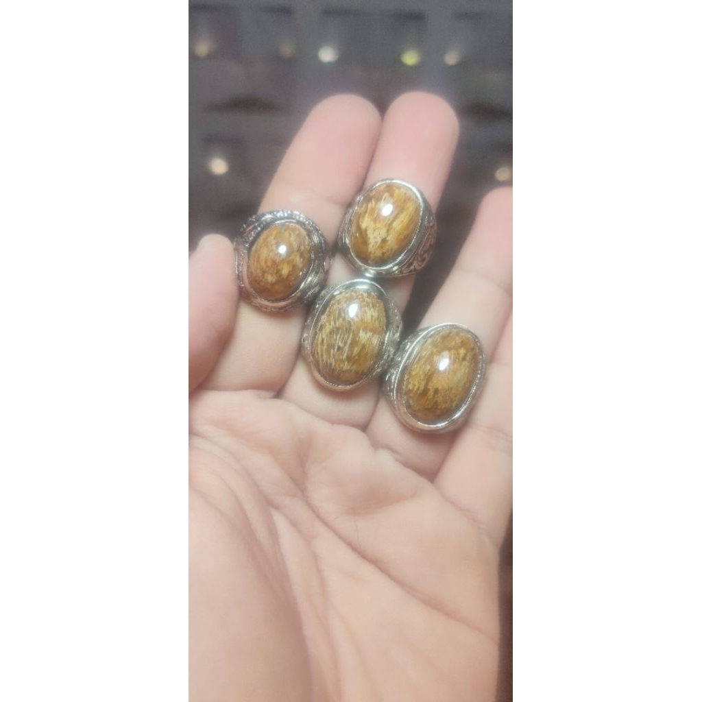 fosil aren / liwung (4pcs)