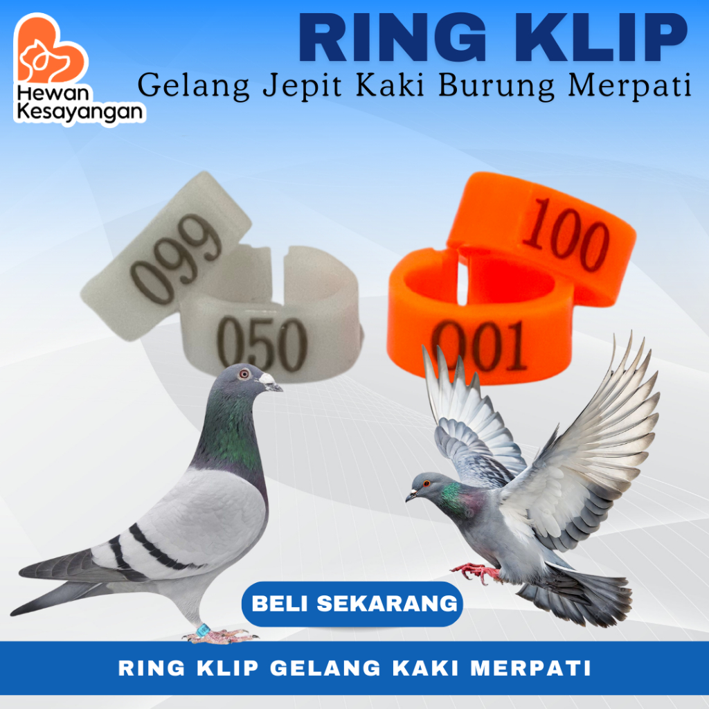 Ring Burung Merpati Ring Jepit Gelang Kaki Burung Merpati Dara