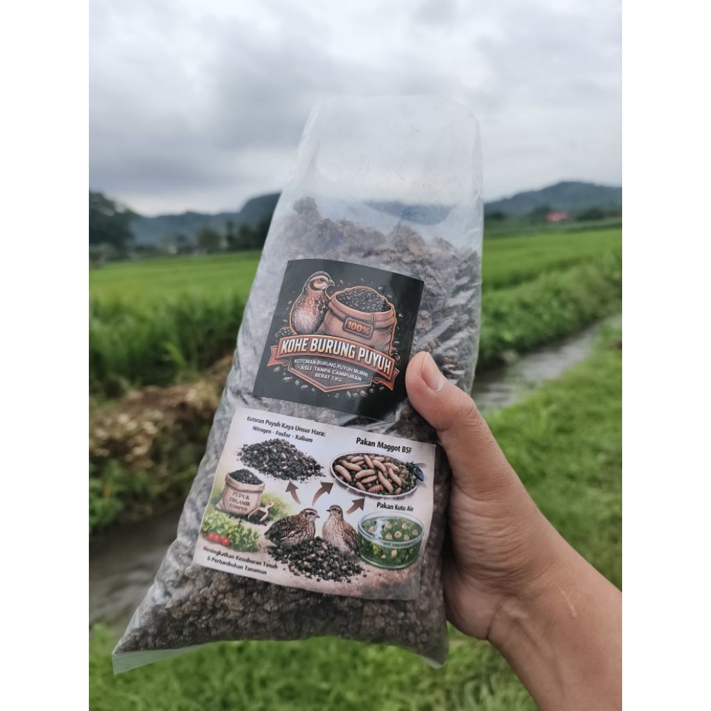 KOHE puyuh kering murni tanpa campuran sekam berat 1 kg