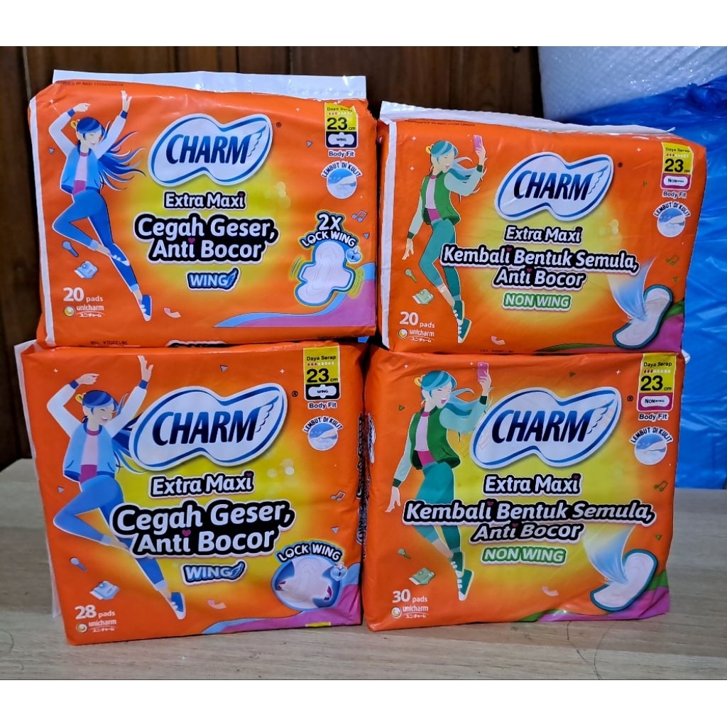 CHARM BODY FIT 23CM WINGS NONWINGS PEMBALUT WANITA