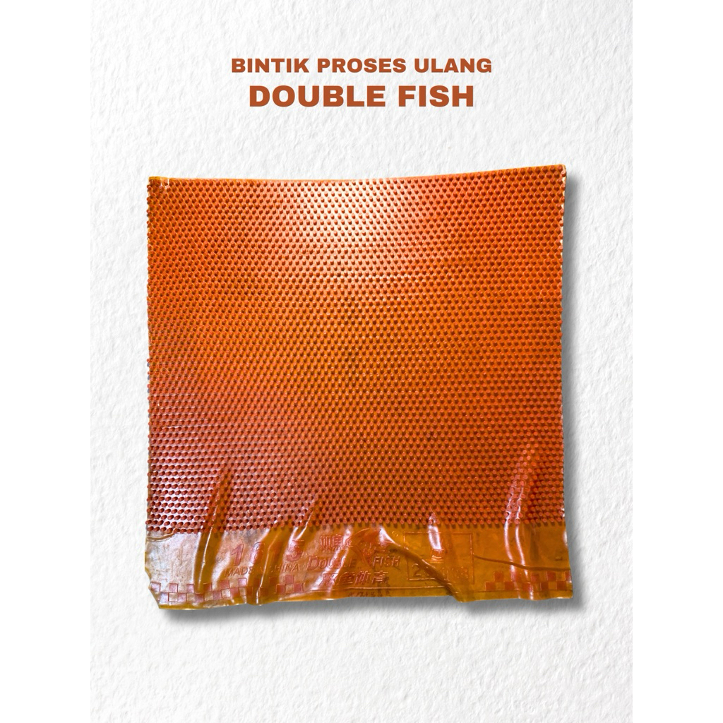 Karet Bintik Proses • Double Fish 1615