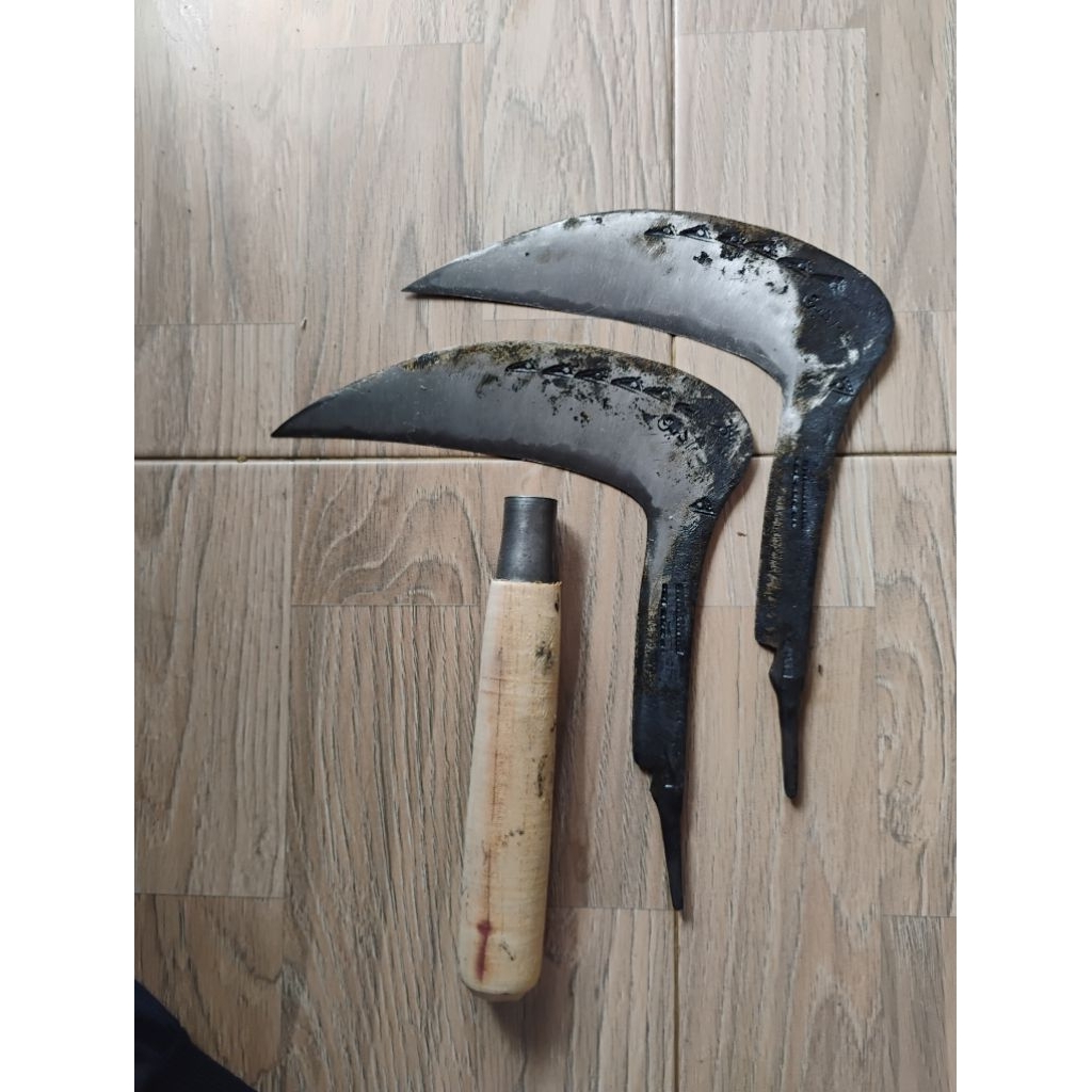 obral arit rumput asahan murah super tajam