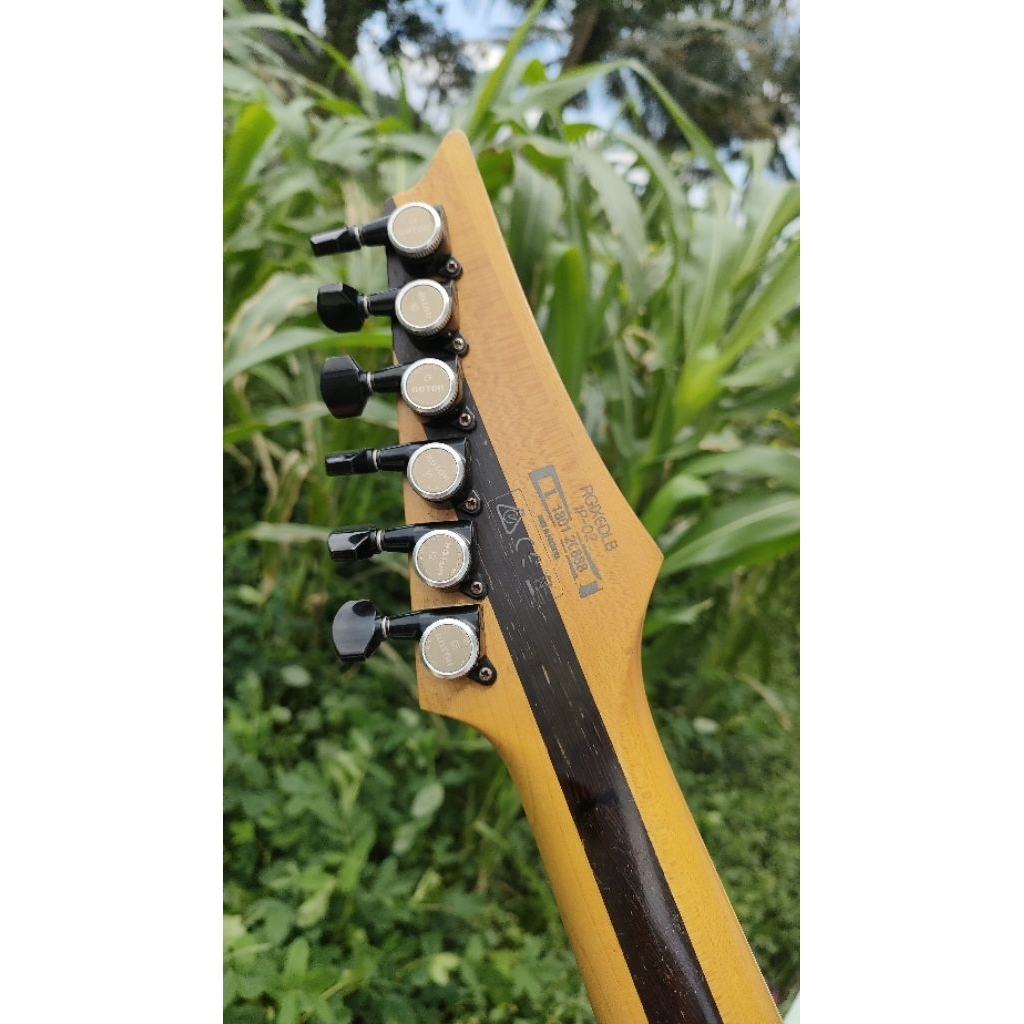 Ibanez Iron Label RGIX