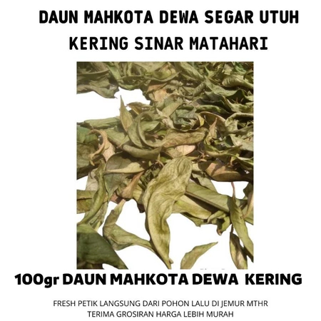 Daun Buah Mahkota Dewa Kering Utuh Kemasan Isi 105 Gram Bahan Herbal Daun Untuk Jamu