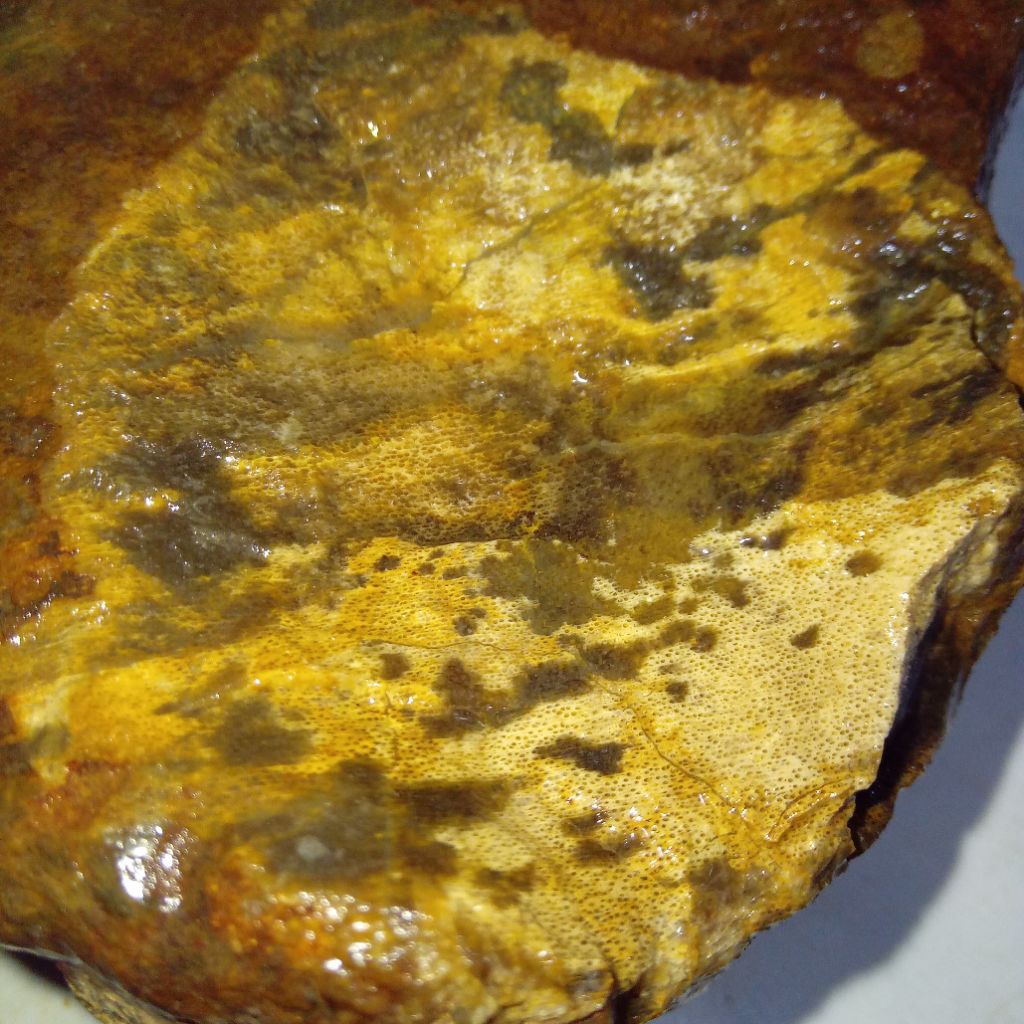 Natural Batu Akik Motif Macan Tutul Sumatera