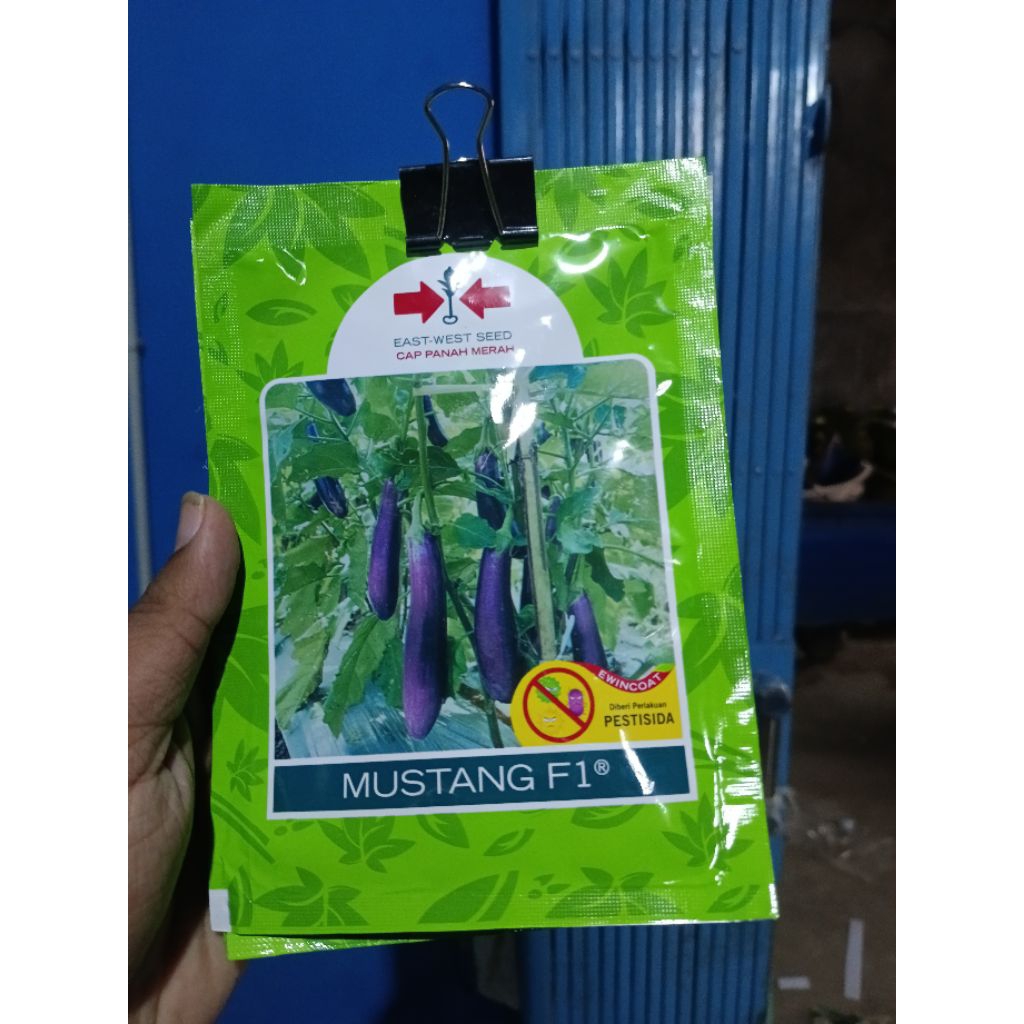 Benih Terong Ungu MUSTANG F1 Isi 1100 Butir Cap Panah Merah - Bibit Terung Panjang Tahan Layu & Hasi