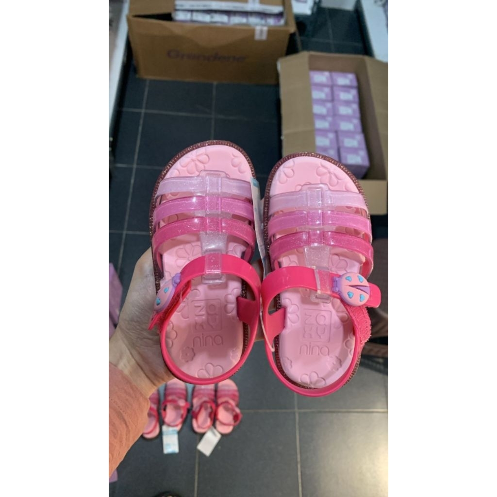 Zaxy joaninha dahlia / zaxy kumbang dahlia pink