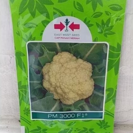Benih Kembang Kol Panah Merah PM 3000 F1 10 Gram