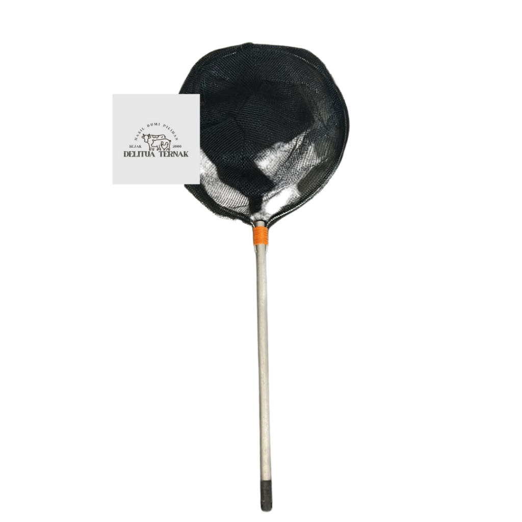 Tanggok Panjang Hitam 80 Cm - Serokan Ikan Besar dan Kecil