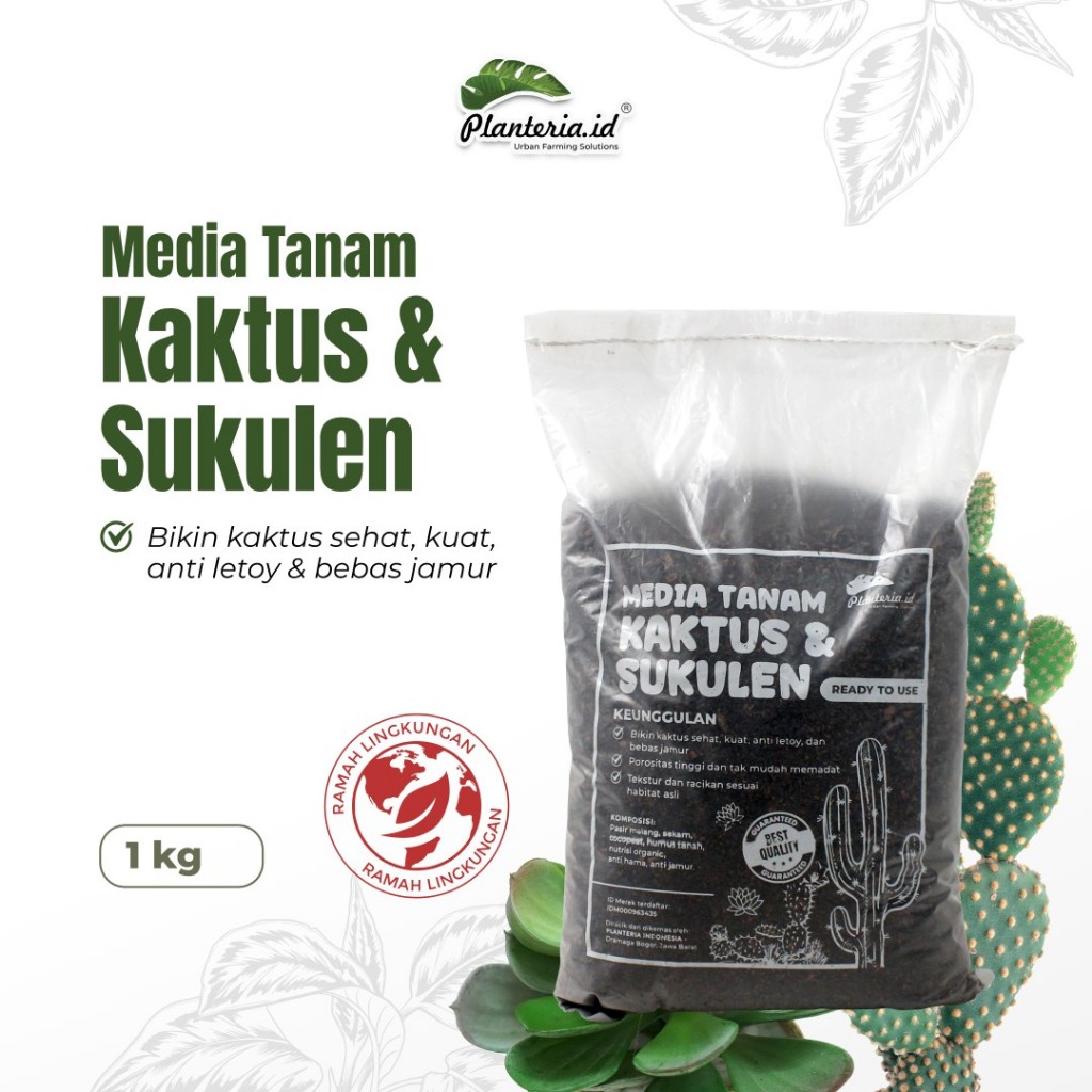 Media Tanam Kaktus Sukulen Premium Siap Pakai
