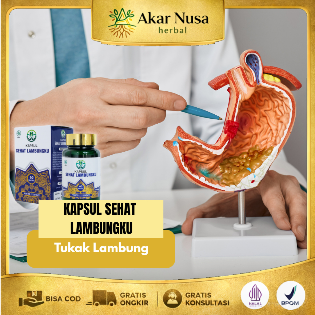 Obat Tukak Lambung Obat Lambung Luka - Kapsul Sehat Lambungku