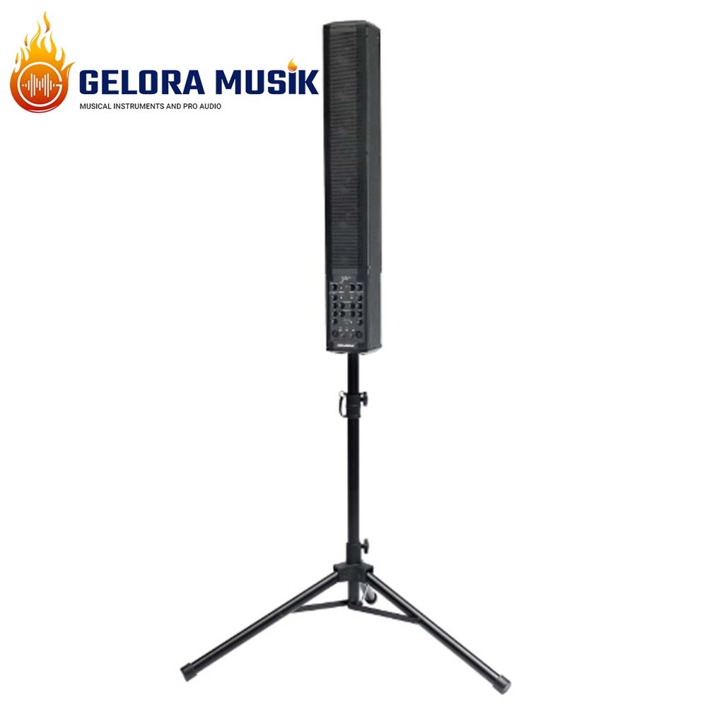 Performance System Fishman Fishman SA220 Solo