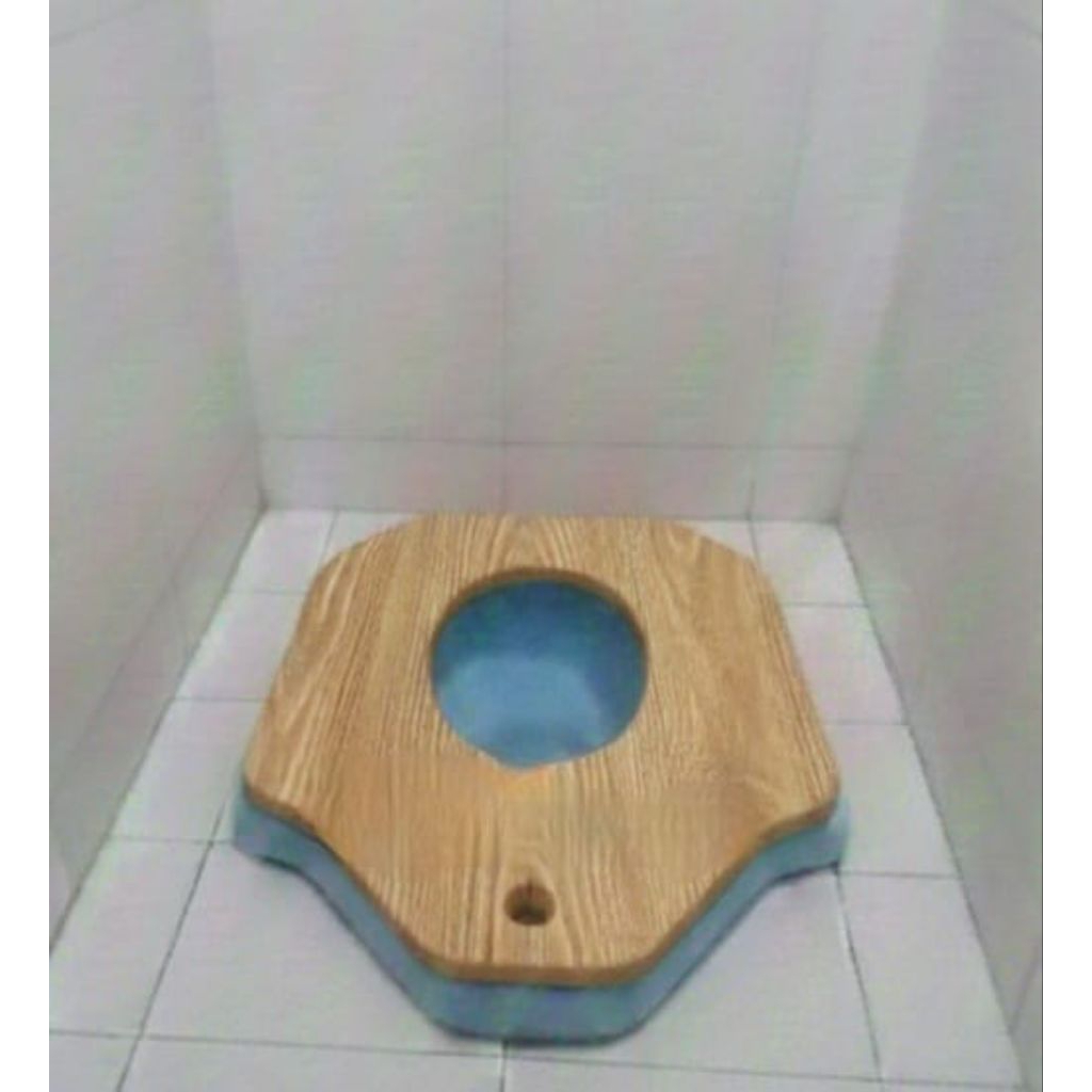 Toilet Duduk Anak / Closet Duduk Balita / Closet Jongkok