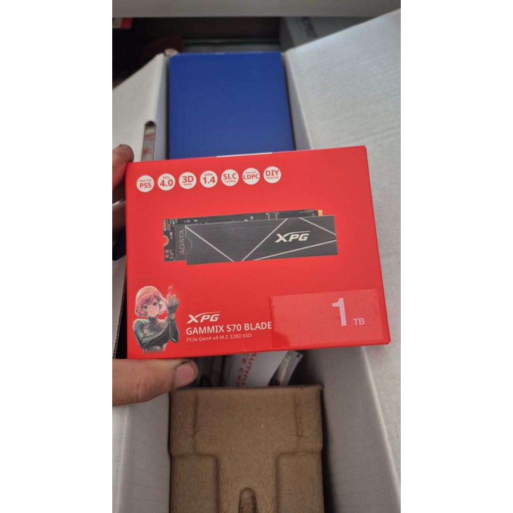 ssd gammix s70 blade 1TB