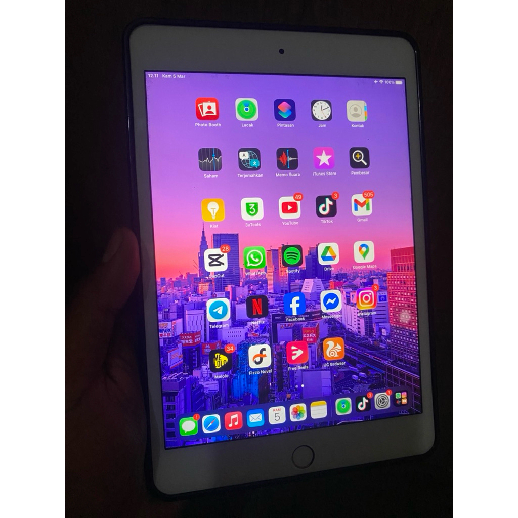 Ipad mini 4 128 gb minus