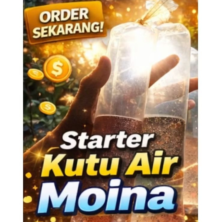 starter budidaya kutu air moina