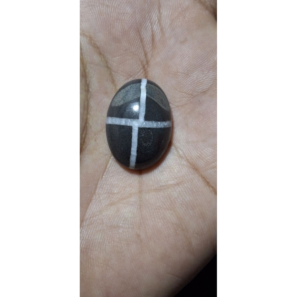 akik tapak jalak badar emas