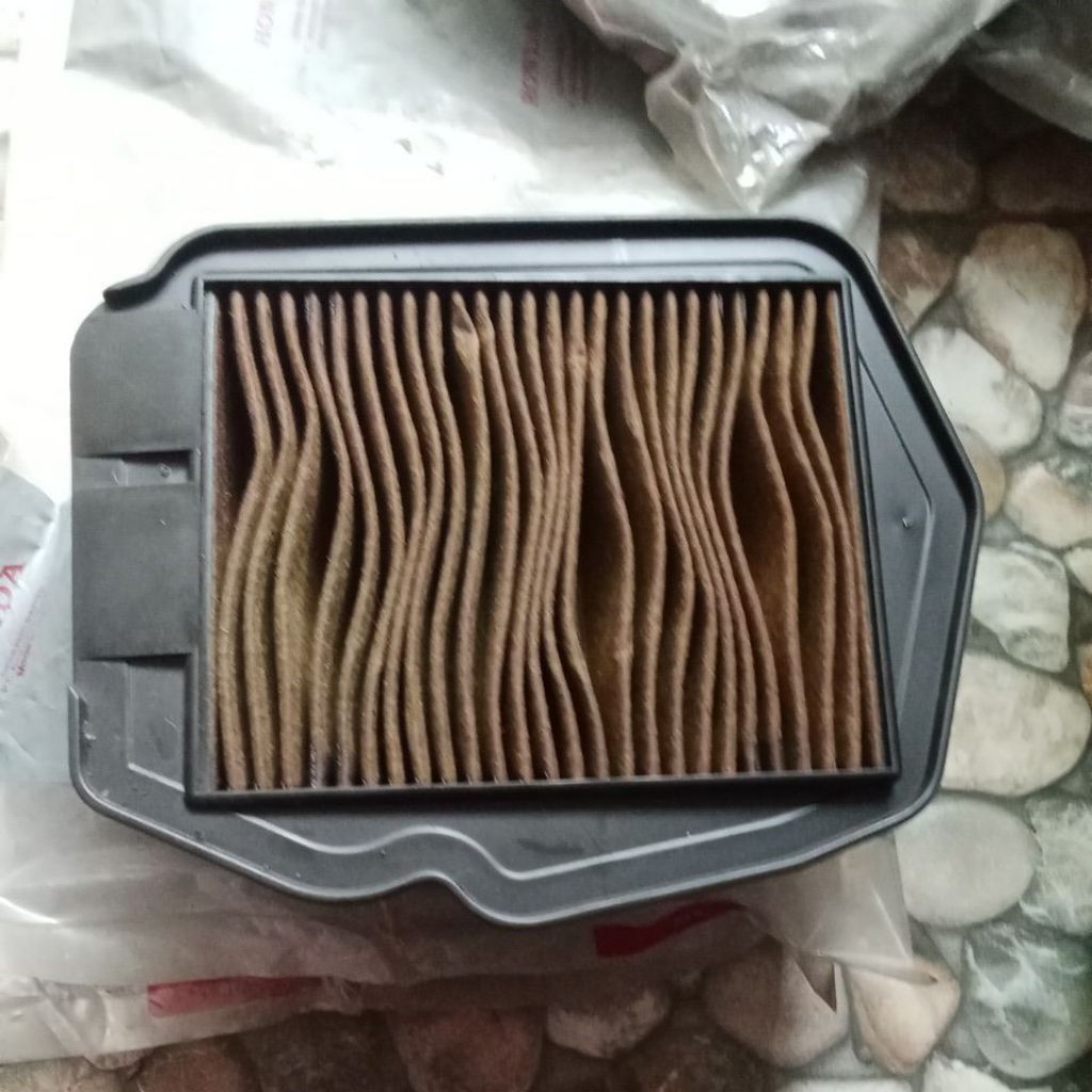Filter Udara CS 1