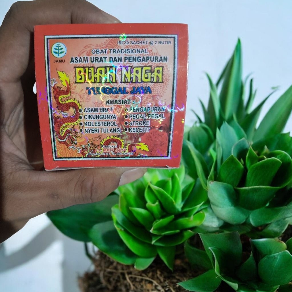 Jamu Buah Naga Obat Asam Urat Tunggal Jaya Asli Herbal Kapsul Tradisional
