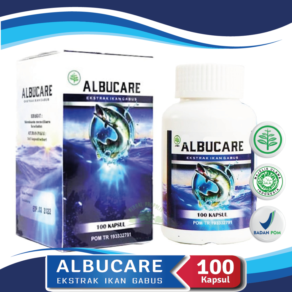 KAPSUL KUTUK ALBUMIN ORIGINAL - Ekstrak Ikan Gabus Mempercepat Penyembuhan Luka - Obat Pasca Operasi