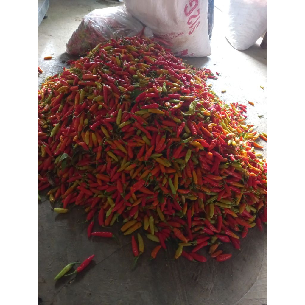 cabe rawit merah 1 kg super pedas