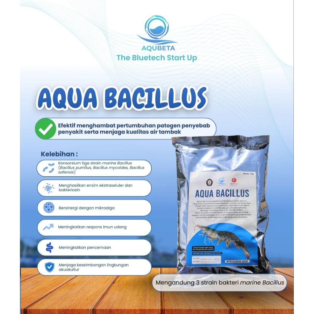 AQUA BACILLUS - Probiotik Tambak Udang & Ikan | Bakteri Bacillus Pengurai Amonia & Probiotik Pencern