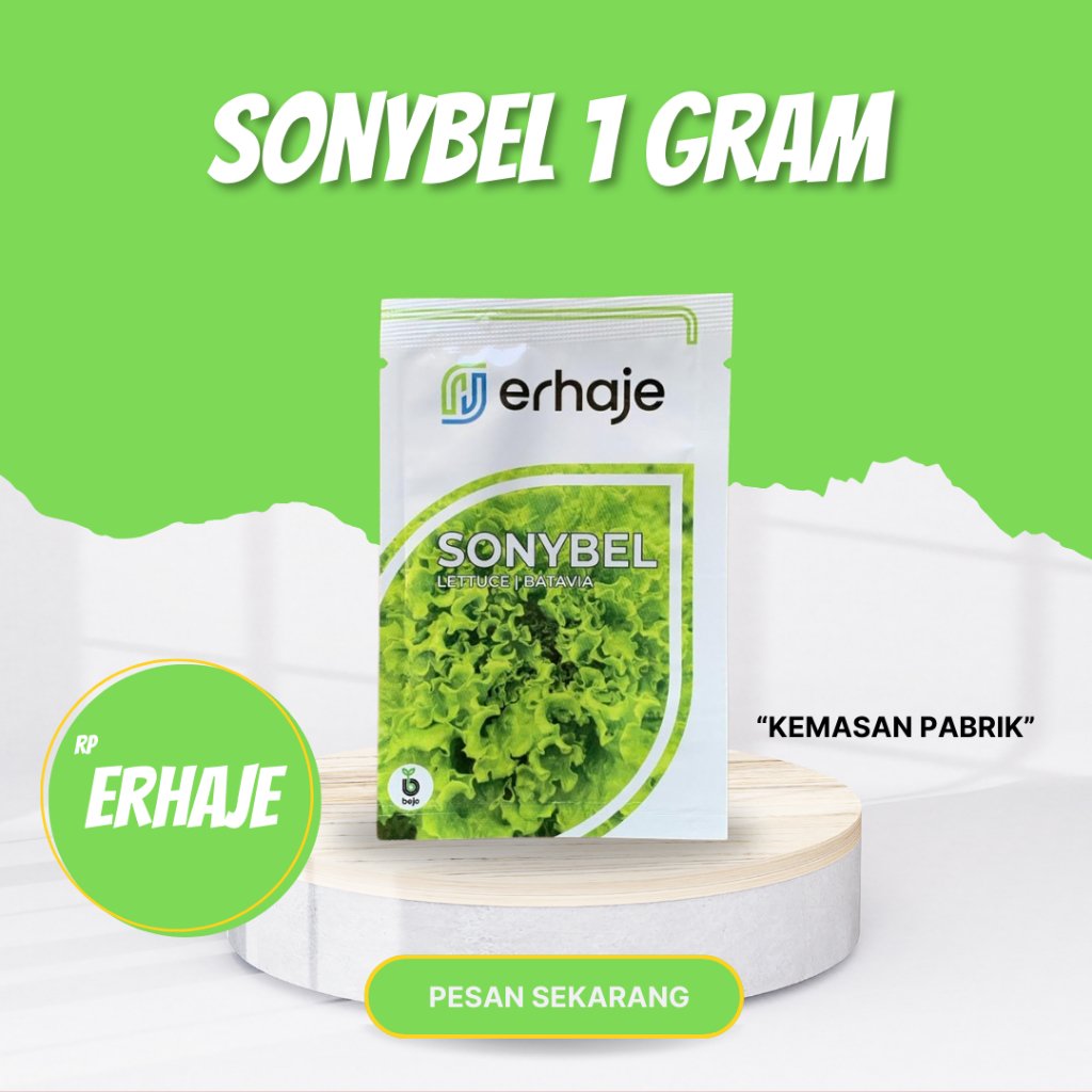 SONYBEL Benih selada batavia bejo seed